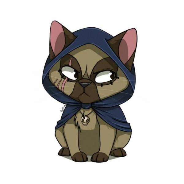 Кастл кэтс Амортина