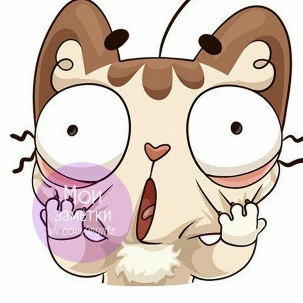 Стикеры ВК котик