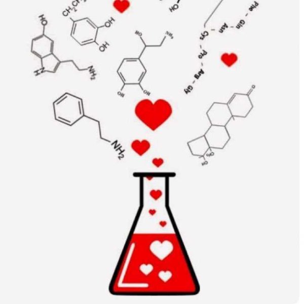 Химия любви