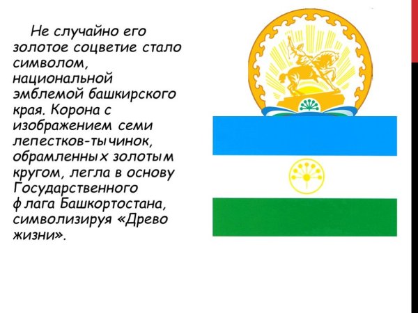 Курай Башкирский флаг Башкортостана