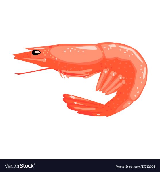 Стикеры креветка на прозрачном фоне