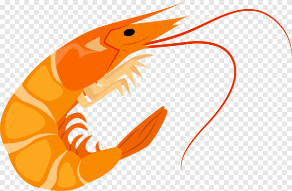 Креветка стилизованная