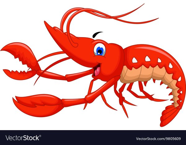 Креветка клипарт на прозрачном фоне