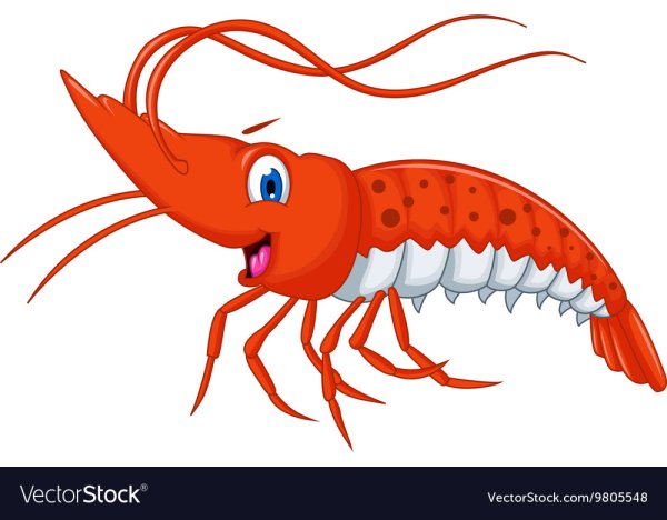 Креветка мультяшная на прозрачном фоне