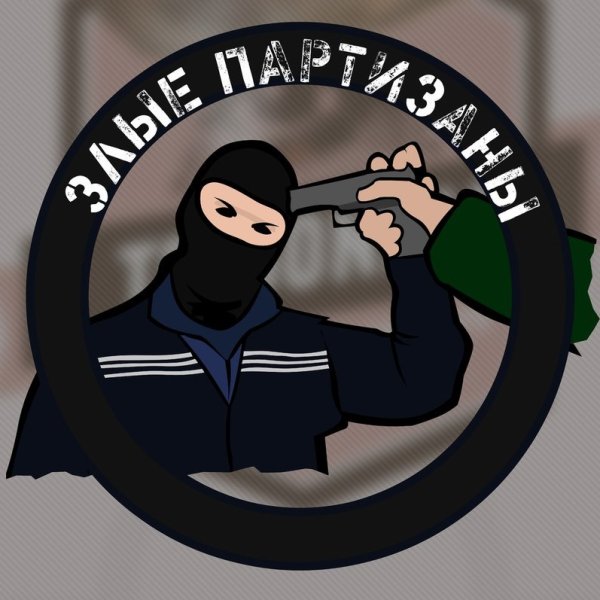 715 Team Партизаны