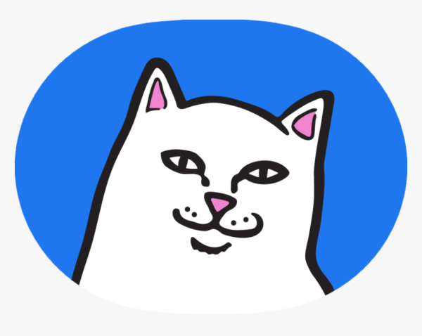 Кот с факом