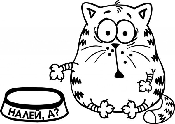 Раскраска. Котики