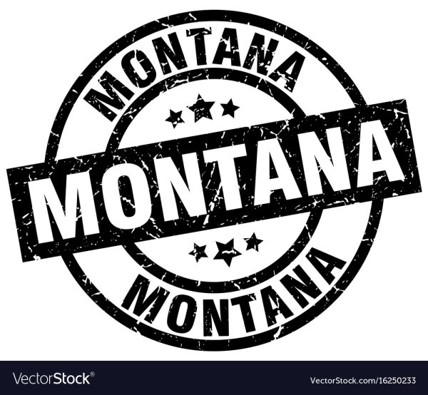 Аль Пачино вектор