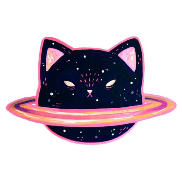 Кот выглядывает на белом фоне