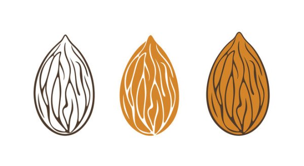 Миндаль логотип вектор