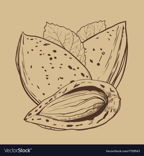 Миндаль вектор