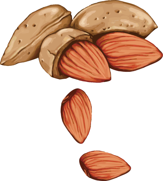 Орехи мультяшное