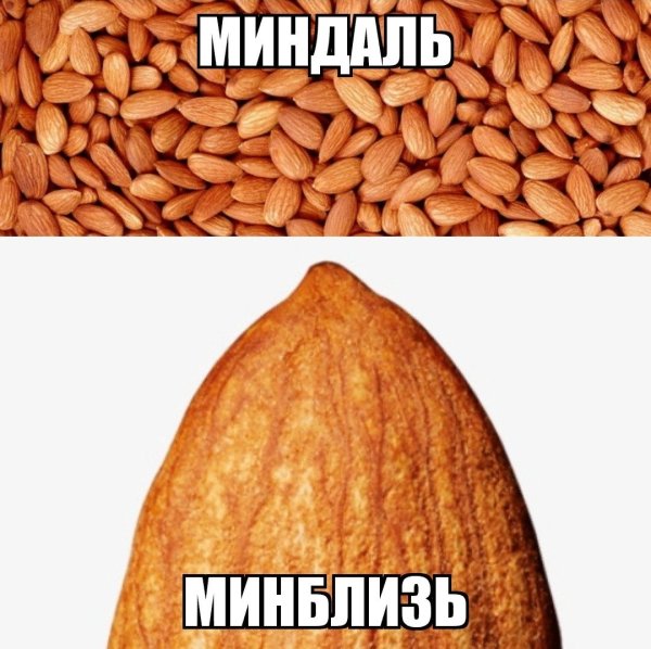 Миндаль минблизь мемы