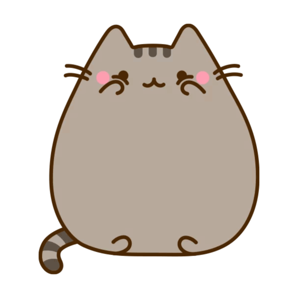 Стикеры кот и белка