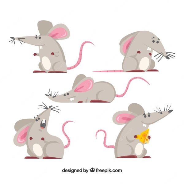 Стилизованная мышка