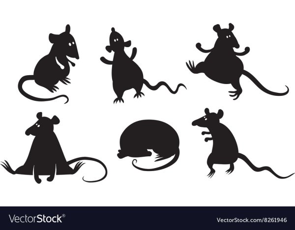 Смешная мышь силуэт