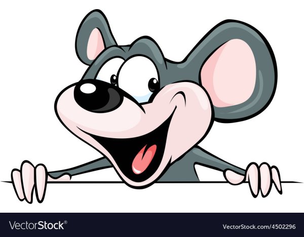 Мышка выглядывает из за угла