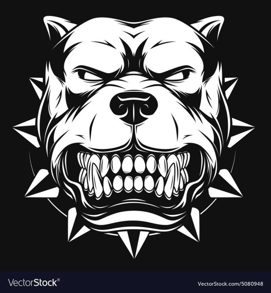 Голова злого питбуля