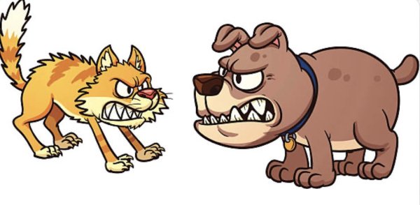 Собака рычит на белом фоне