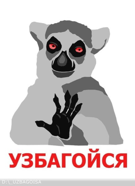 Лемур узбагойся