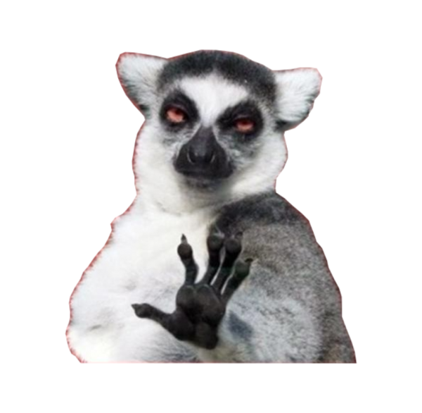 Лемур успокойся