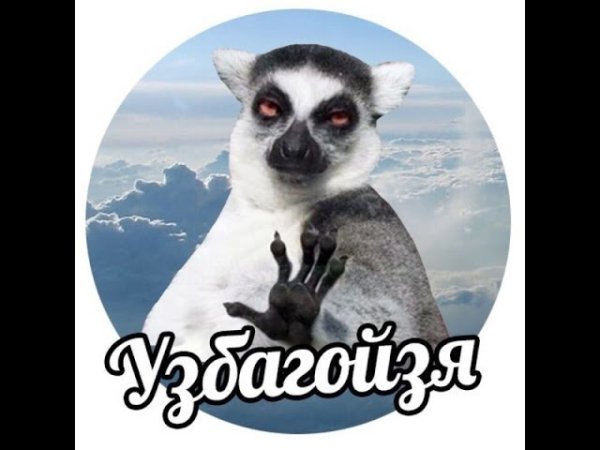 Узбагойся Мем оригинал