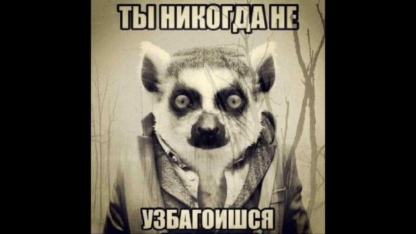 Узбагойся в каске