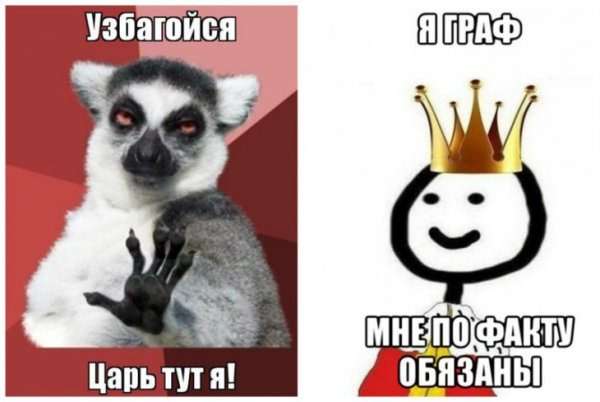 Узбагойся лемур с надписью