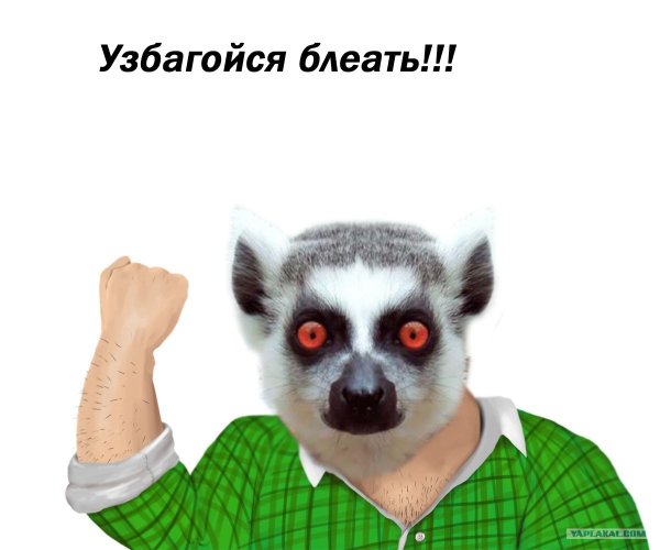 Ты узбагойся