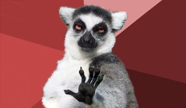 Спасибо за внимание с лемуром