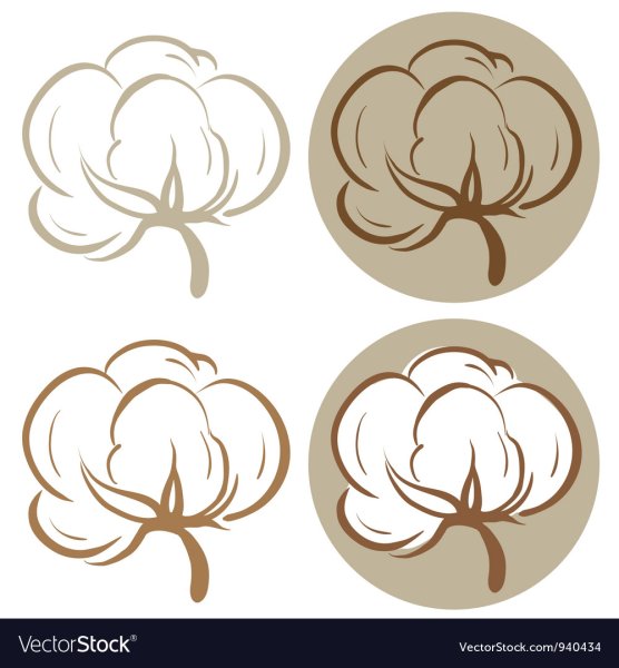 Хлопок вектор