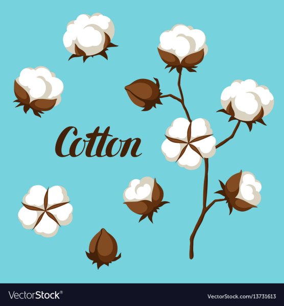 Стилизованный хлопок