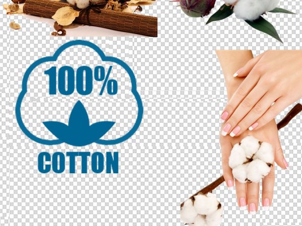 Cotton 100% логотип