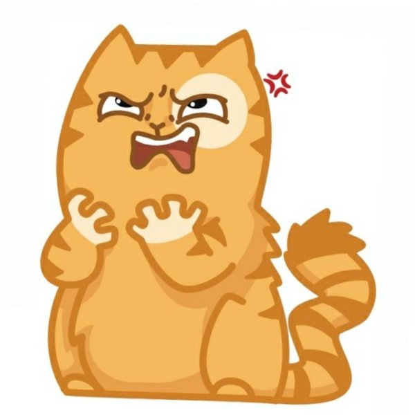 Злой кот персик