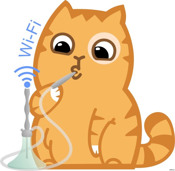 Кларк Джейн "котёнок персик"