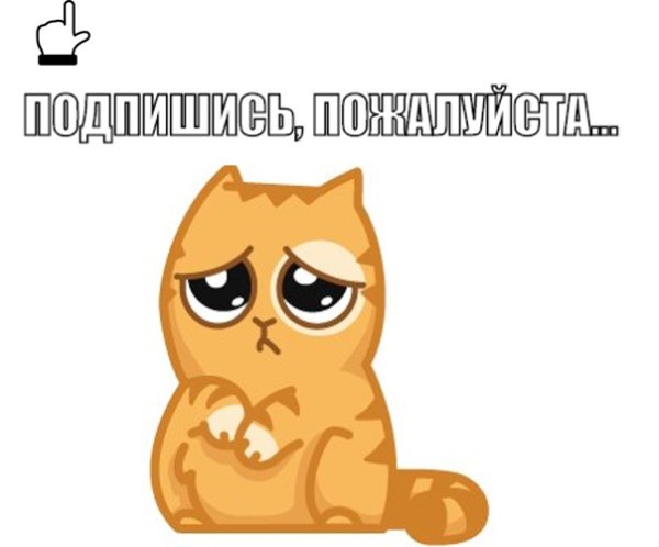 Кот из ВК стикер
