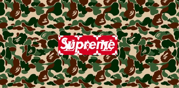 Bape Camo