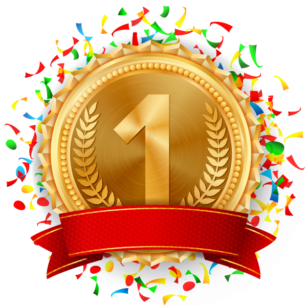 Золотая медаль первое место
