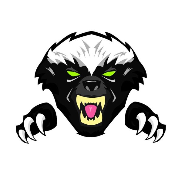 Медоед на аву