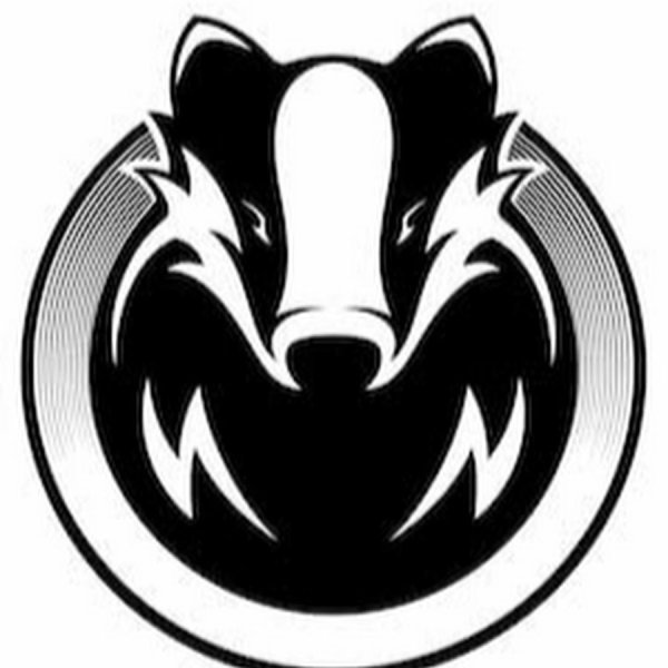 Наклеикана авто барсук