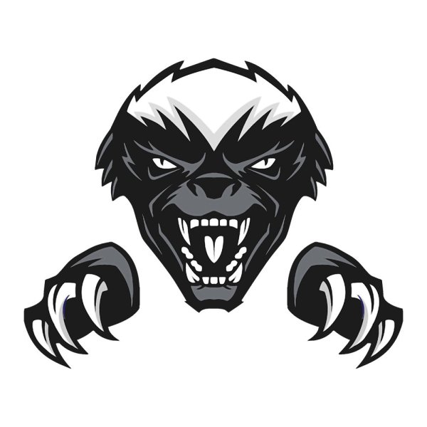 Медоед злой