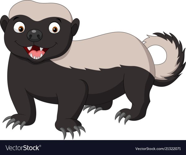 Медоед мульт