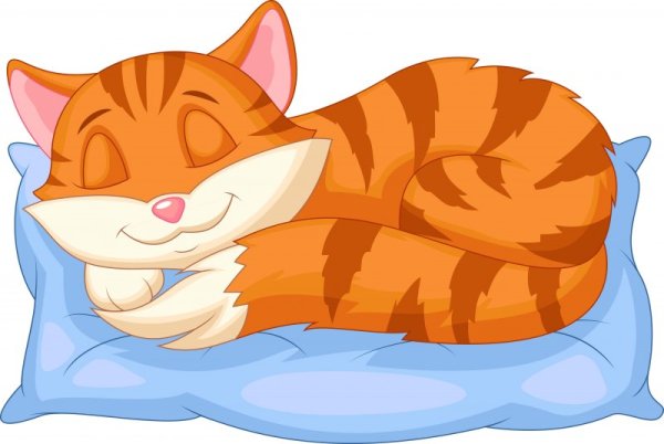 Котик мультяшный на подушках