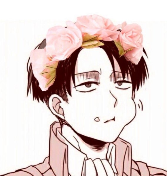 Леви Аккерман уборщик