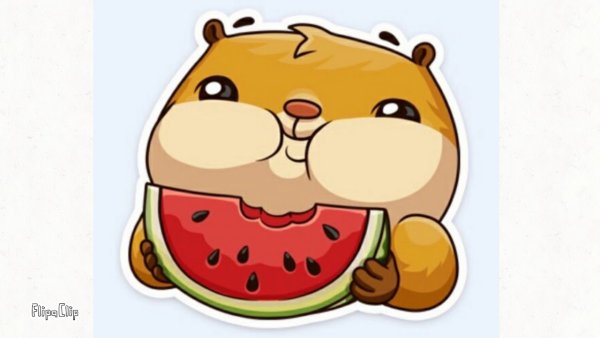 Стикеры ВК Сеня