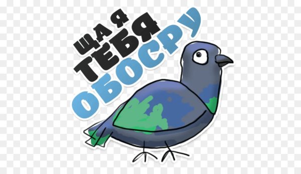 Наклейка голубь