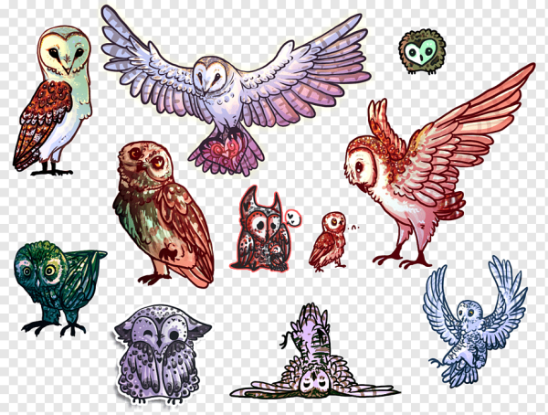 Птица Филин референс