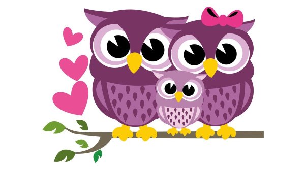 Семья сов на ветке