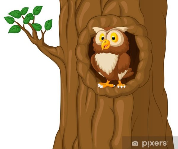Совы мультяшные на дереве