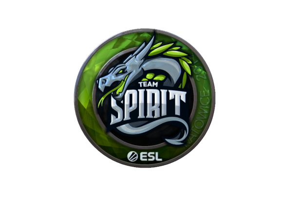 Наклейка тим спирит
